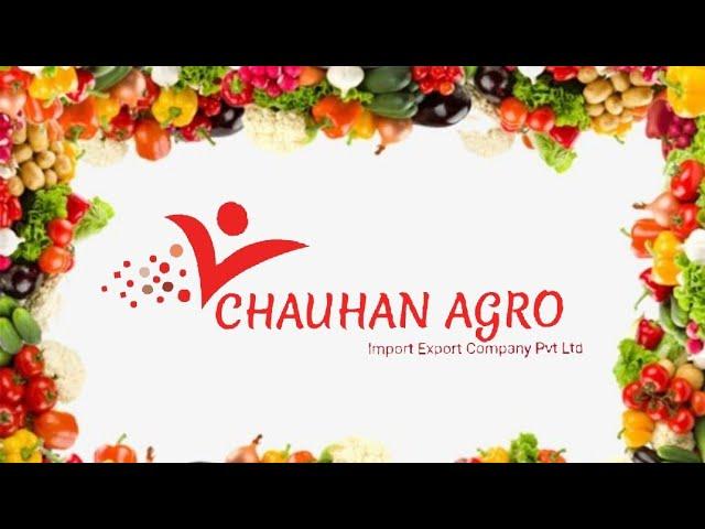 CHAUHAN AGRO IMPORT EXPORT COMPANY