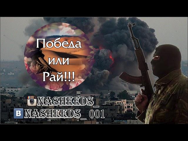 Нашид - Победа или Рай!