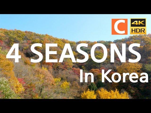 [UHD] 한국의 사계 4K (Four Seasons)