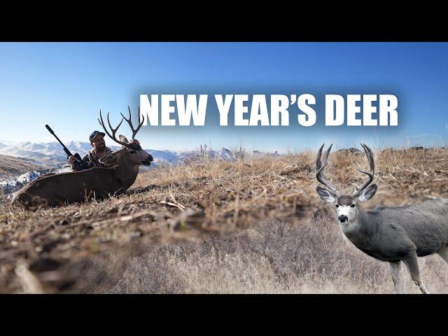 Late Season Mule Deer || A New Year's Day Deer Hunt