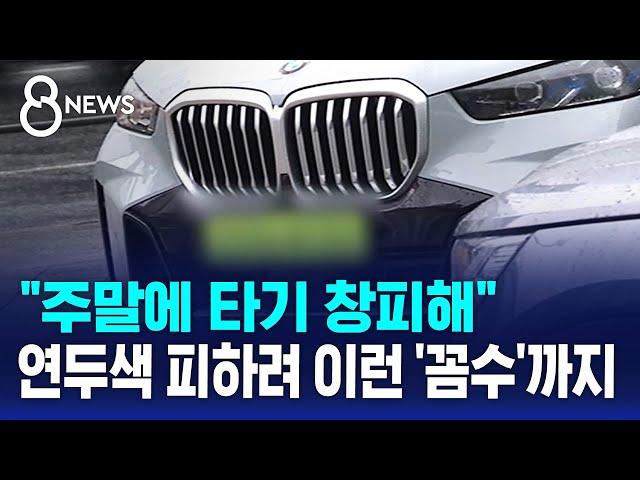 "주말에 타기 창피해"...연두색 번호판 피하려 이런 '꼼수'까지 / SBS 8뉴스