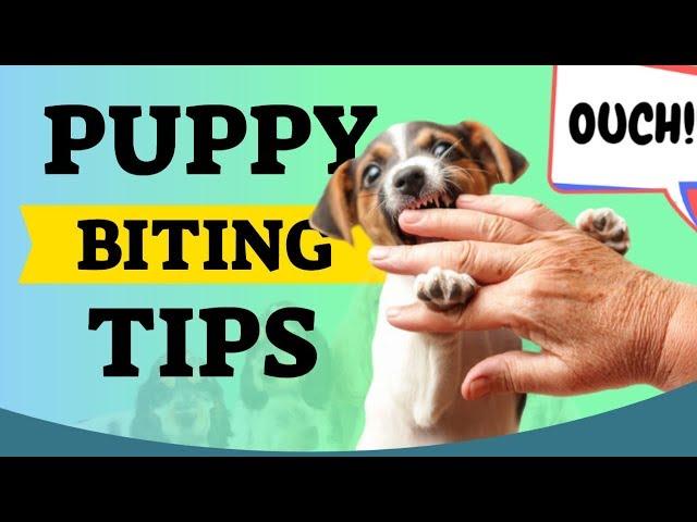 Puppy Biting Tips For New Puppy Owners