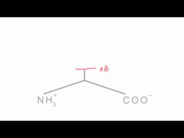 Memorize the 20 amino acids in 20 minutes (Part 1)