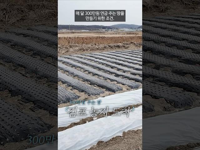 매 달 300만원씩 연금 주는 땅을 만들기 위한 조건을 알려드립니다! #부동산 #부동산투자 #부동산경매 #농지연금