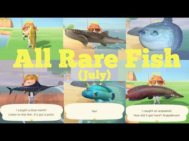 Catching ALL 16 Rare Fish [JULY] - Animal Crossing New Horizons