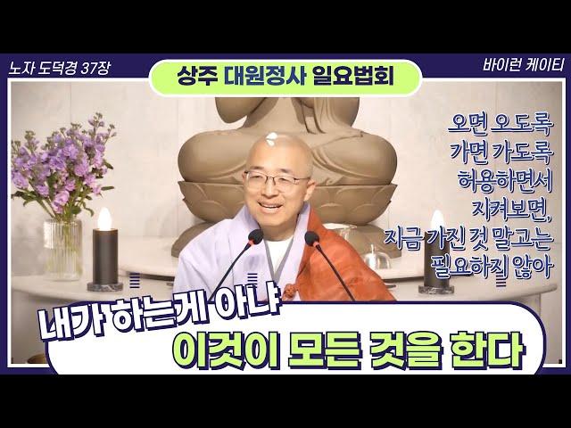 [98] 오면 오도록 가면 가도록 허용하며 지켜보면, 지금 가진 것 말고는 필요치 않아