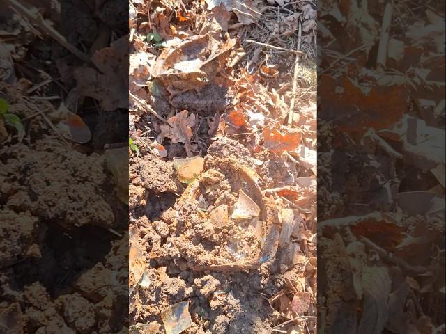 ww1 rare austrohungary flask excavation from rigasfrontline easternfront #germanmilitary #digging