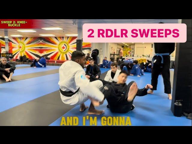 Two SIMPLE Reverse De La Riva sweeps