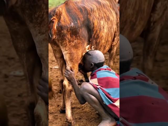 This is how Ethiopians drink cow's milk