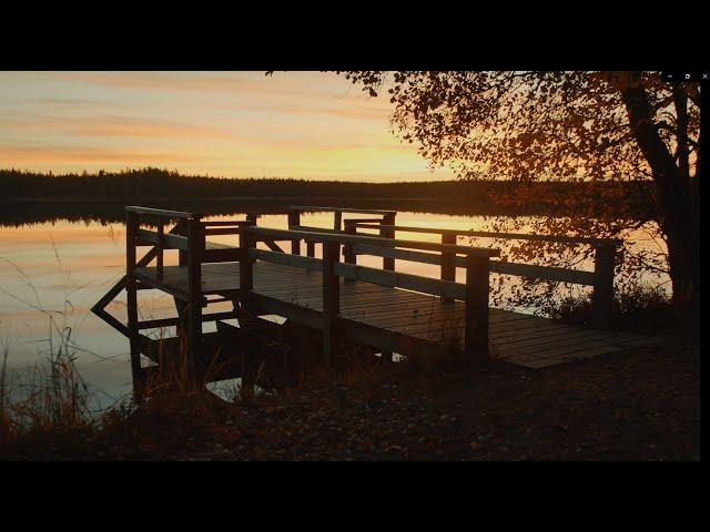 Breath in the silence of autumn nature | Visit Jyväskylä Region