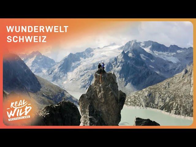 Doku: So anders ist unser Nachbarland - Abenteuer Schweiz | Real Wild Deutschland