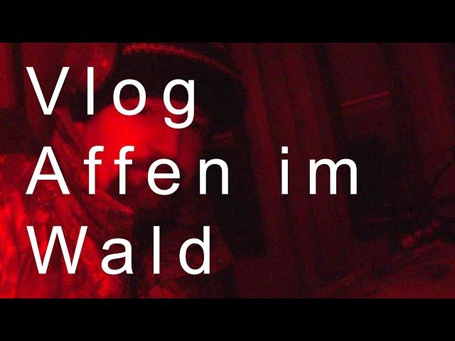 Vlog: Schöner Plan aber das ging nach hinten los, leider