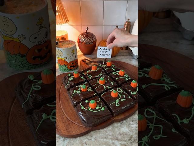 Pumpkin Patch Brownies  #baking #halloween