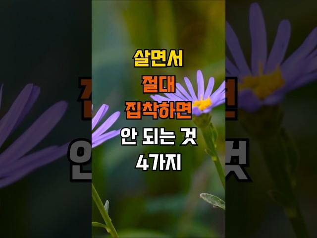 살면서 절대 집착하면 안 되는 것 4가지 #인생조언 #삶의지혜
