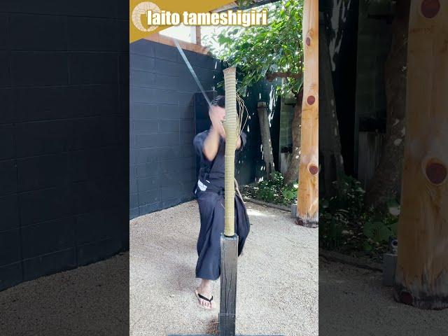 Tameshigiri (Tatami Mat Cutting) with an "IAITO (Replica Katana)!" This is What Happened...! #Shorts