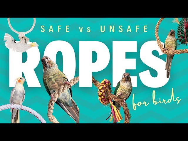 Ropes For Birds