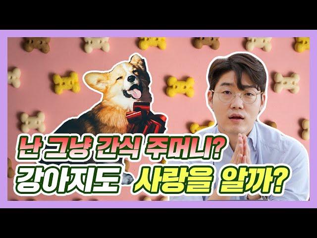 강아지는 정말 사랑을 느낄까? | 설채현 행동학 수의사