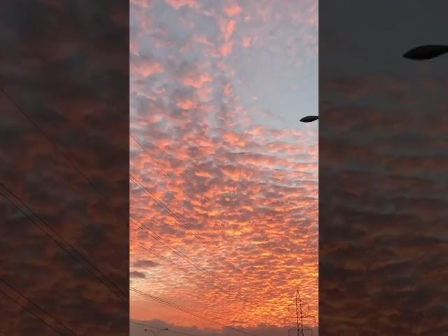 City morning sky view, Badal,#shorts #sky #city #trending #trend #badal #morning #view #like