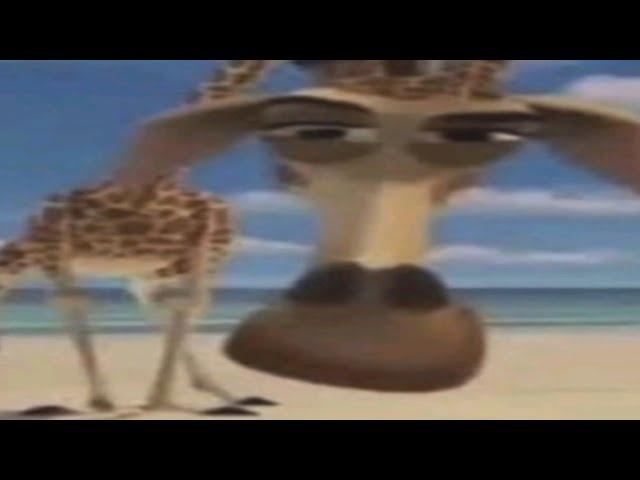 Top 5 Madagaskar