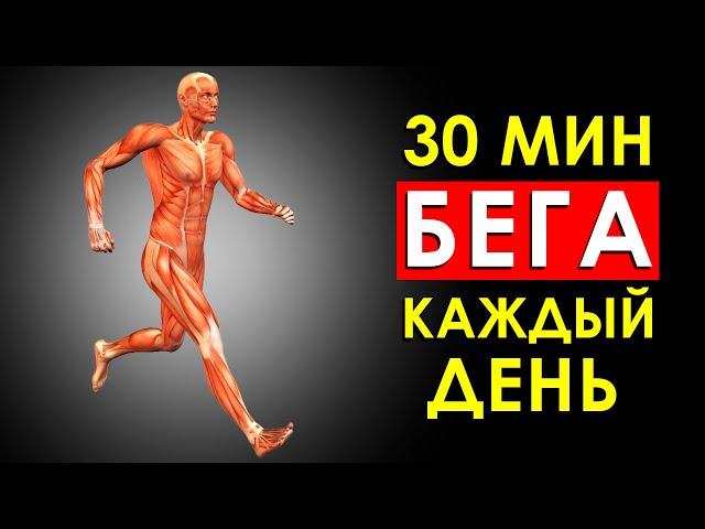 30 МИНУТ БЕГА, Что Будет с Телом, Если Бегать Каждый День