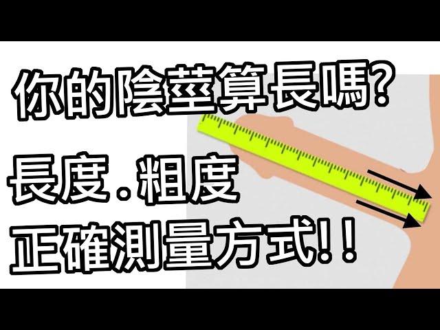 【性學小教室68】你的陰莖算大嗎？男生自己量長度都會灌水！？長度粗度怎麼量！？｜陰莖測量正確方式！