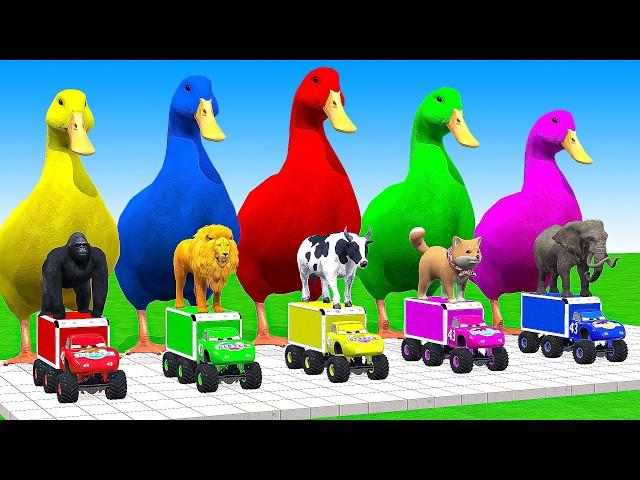 5 Giant Duck Cartoon,Cow,Mammoth,Elephant,Lion,Tiger Paint Wild Animals Crossing Fountain Animation