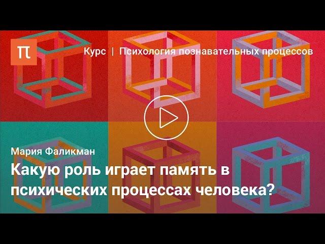 Процессы и виды памяти — Мария Фаликман