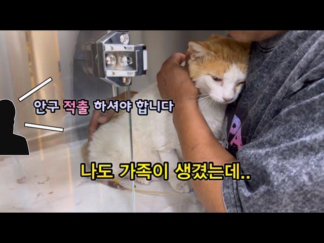 다 가져 가야만 했냐… 대구리좀 살게 해 줘라~