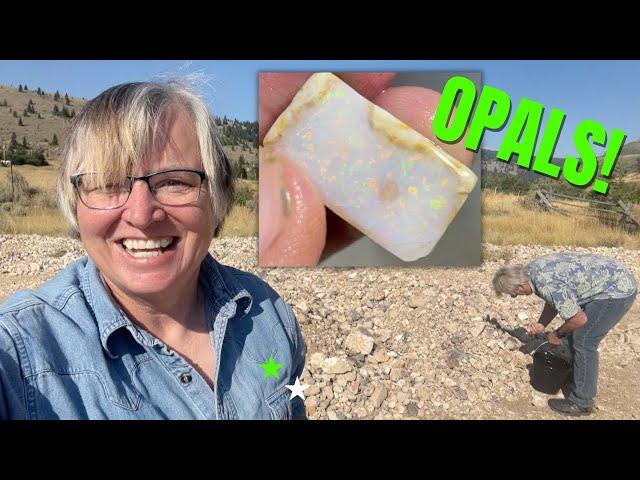 Finding & Cutting Opals from the Spencer Opal Mine