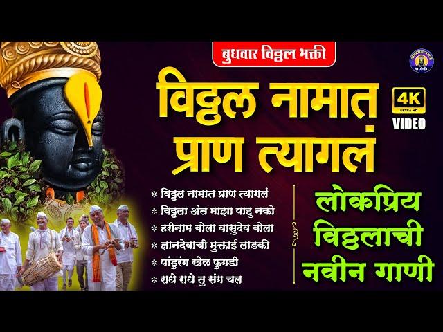 लोकप्रिय विठ्ठलाची नवीन गाणी - विठ्ठल नामात | पांडुरंगाची गाणी | Vitthal Songs | Vitthal Bhaktigeete