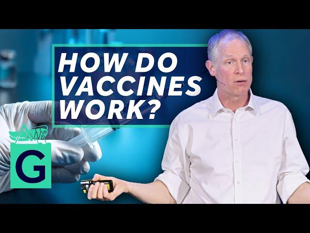 How Do Vaccines Work? - Robin May