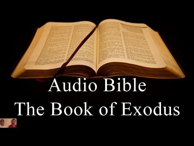 The Book of Exodus - NIV Audio Holy Bible - High Quality and Best Speed - Book 2 - The Two Preachers