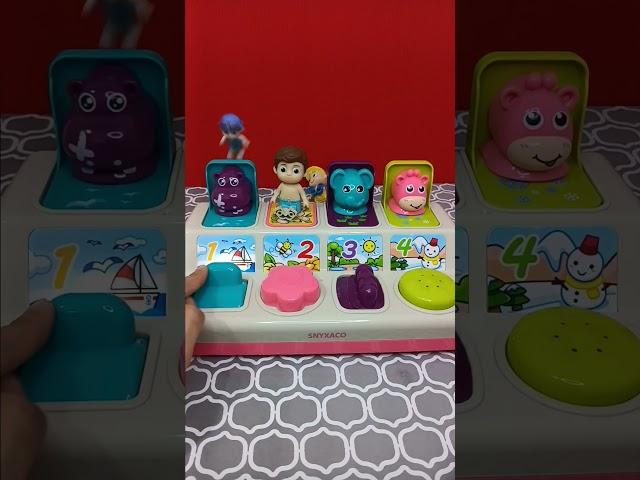 super unique little coco & pop up animals