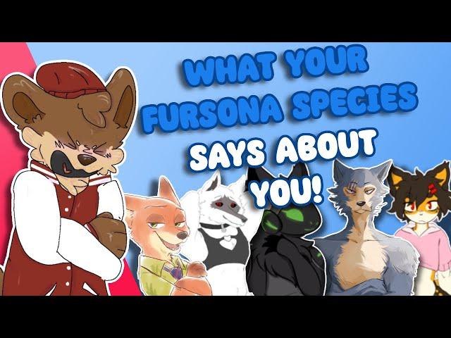 What Your FURSONA'S SPECIES Says About You...