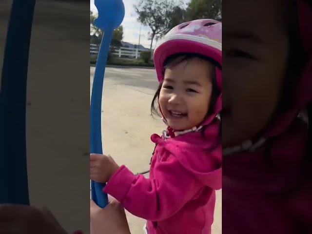 Teaching My Toddler to Train My Corgi #shorts #corgi #toddlers