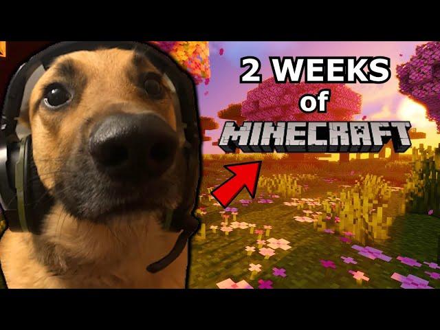 The 2 Week Minecraft Phase…
