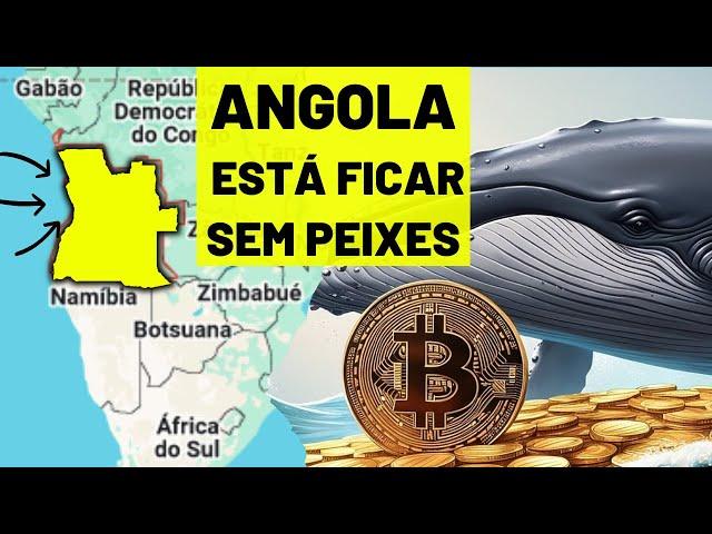 Barcos Estrangeiros roubam peixe em Angola | Queda no Preço do Bitcoin Deve Preocupar a África