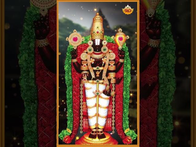 Tirupati Srinivasane | ತಿರುಪತಿ ಶ್ರೀನಿವಾಸನೇ | Venkateshwara Songs | Manasa Holla | @SVDBhaktisagara