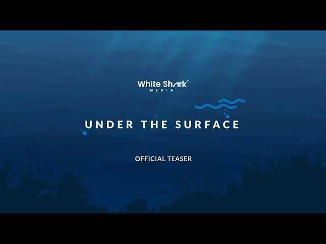 White Shark Media #UnderTheSurface - OFFICIAL TEASER