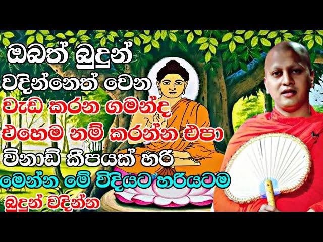 බුදුන් වදින්නෙත් වෙන වැඩ කරන ගමන්ද විනාඩි කීපයක් හරි හරියටමබුදුන් වදින්| Hadigalle Chandaloka  thero