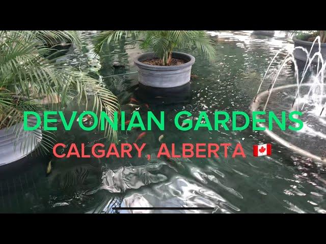 DEVONIAN GARDENS  🪴 Calgary, Alberta  @jjfshares4242