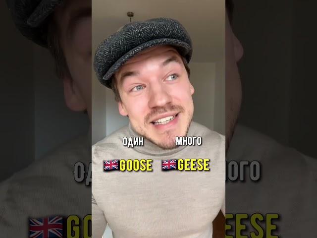 Множественное число…?