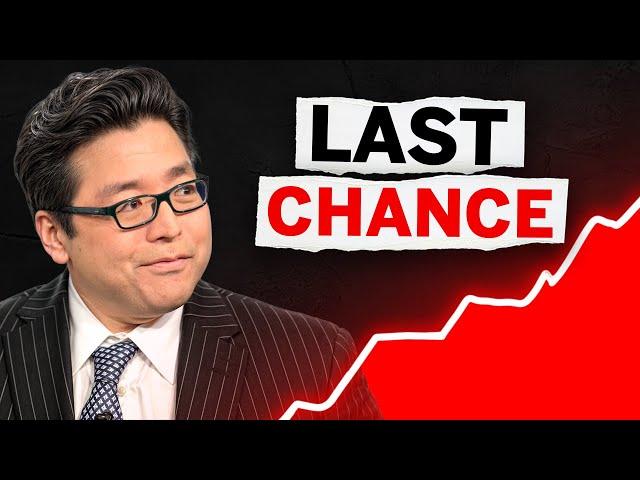 Tom Lee’s Best 8 Stocks to BUY NOW in Nov 2024 (High Growth Stocks) 