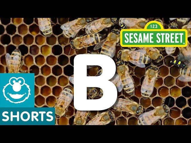 Sesame Street: B is for Bees