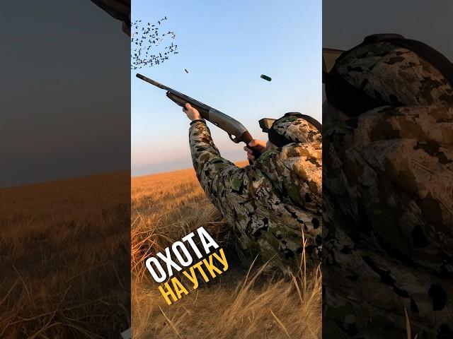 ОХОТА НА УТКУ