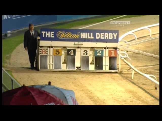 Greyhound Derby Final 2010