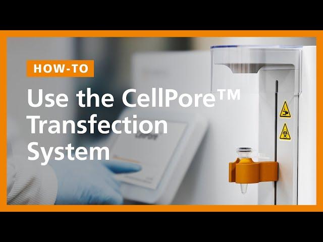 How To Use the CellPore™ Transfection System