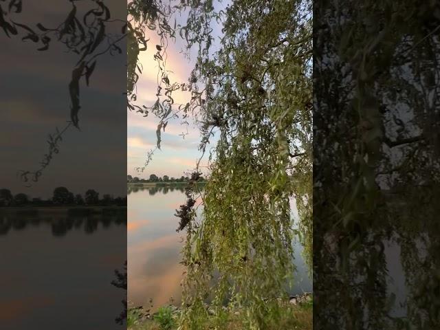 7 мая 2025 г.