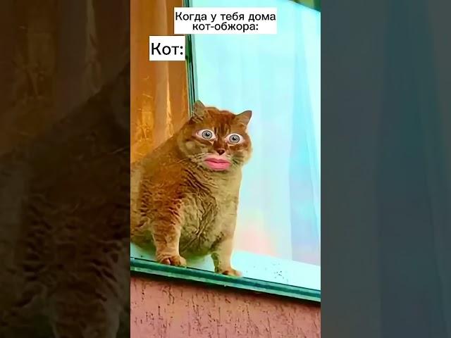 17 июня 2025 г.