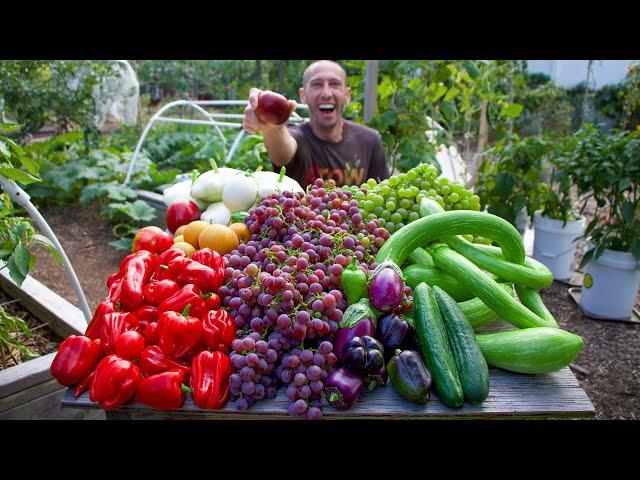 Wonderful Fall Garden Harvest, Sustainable Backyard Gardening